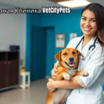 Ветеринарная Клиника VetCityPets