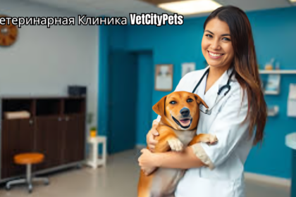 Ветеринарная Клиника VetCityPets