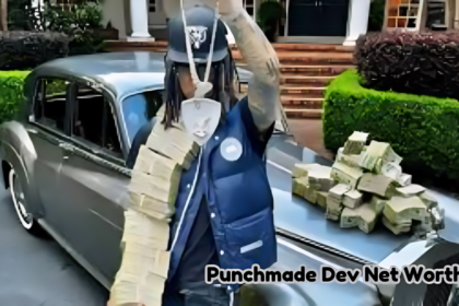 Punchmade Dev Net Worth