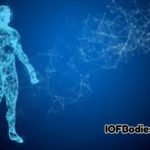 IOFBodies .com