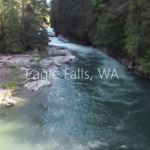 Eagle Falls Washington